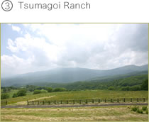Tsumagoi Ranch