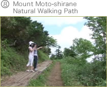 Moto-sh'lrane Natural Walking Path