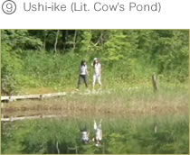 Ushi-ike (Lit. Cow's Pond)